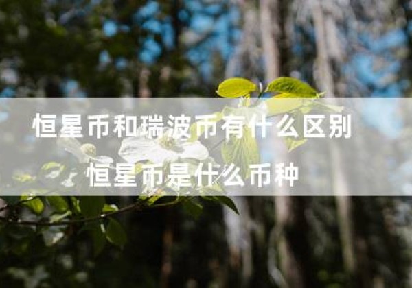 恒星币和瑞波币有什么区别（恒星币是什么币种）