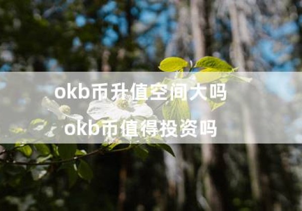 okb币升值空间大吗（okb币值得投资吗）