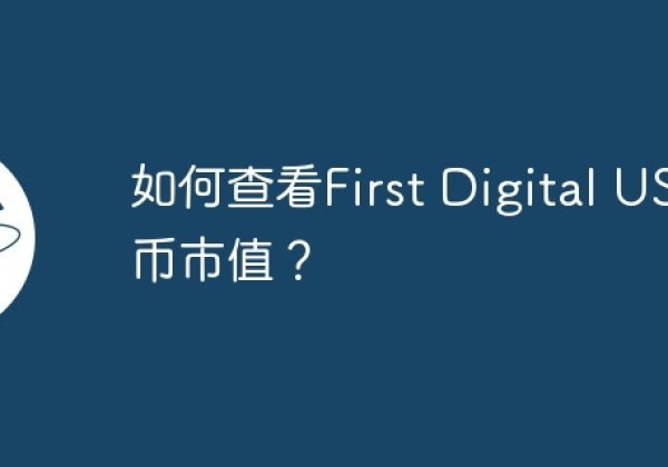 如何查看First Digital USD币市值？