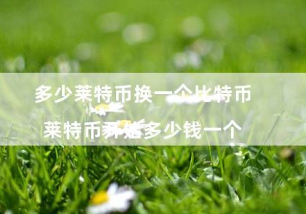 多少莱特币换一个比特币（莱特币开始多少钱一个）