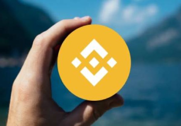 区块链张建(张健五行币)