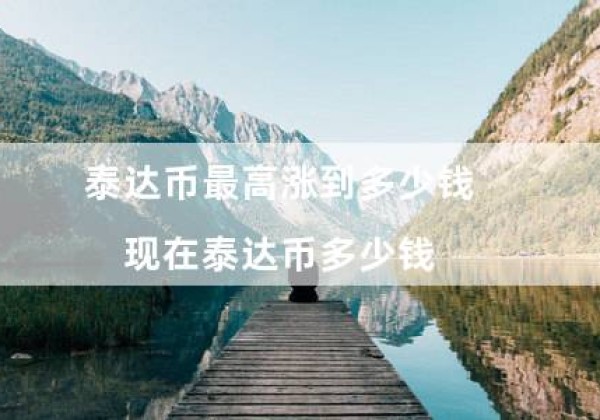 泰达币最高涨到多少钱（现在泰达币多少钱）