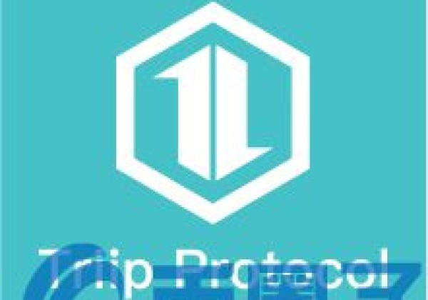 TIIM币／TriipMiles是什么？TIIM官网和团队介绍白皮书