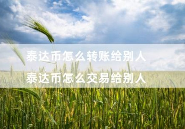 泰达币怎么转账给别人（泰达币怎么交易给别人）