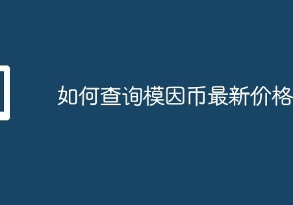 如何查询模因币最新价格？