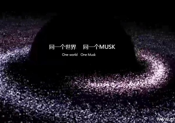 MUSK是什么币？MUSK交易平台、官网、发行总量介绍