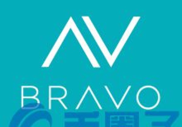 BVO币／BRAVO Pay是什么？BVO相关信息介绍