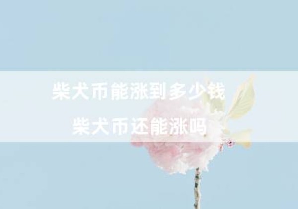 柴犬币能涨到多少钱（柴犬币还能涨吗）