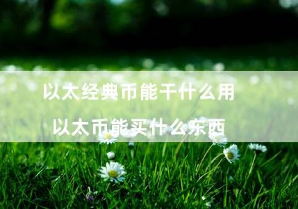 以太经典币能干什么用（以太币能买什么东西）