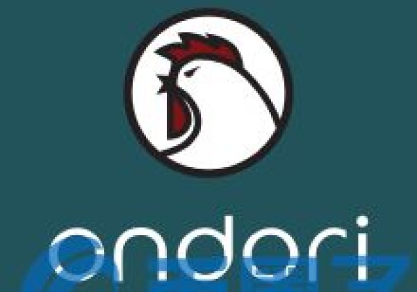 RSTR币／Ondori是什么？RSTR官方网站和交易平台介绍