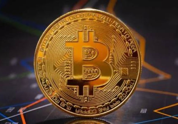 什么是猪币？猪币投资介绍价值