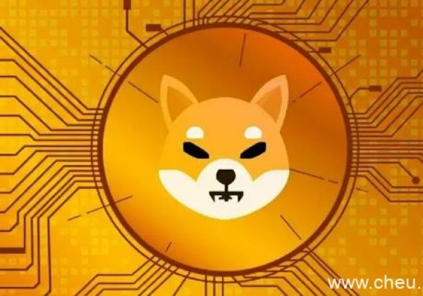 屎币最新消息 柴犬币未来5年估值