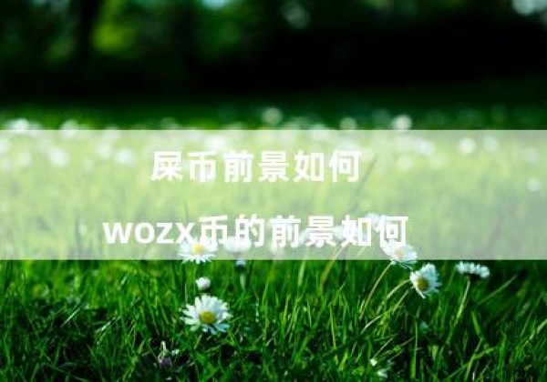 屎币前景如何（wozx币的前景如何）