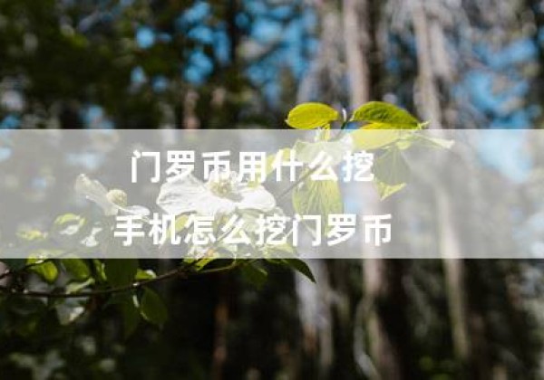 门罗币用什么挖（手机怎么挖门罗币）