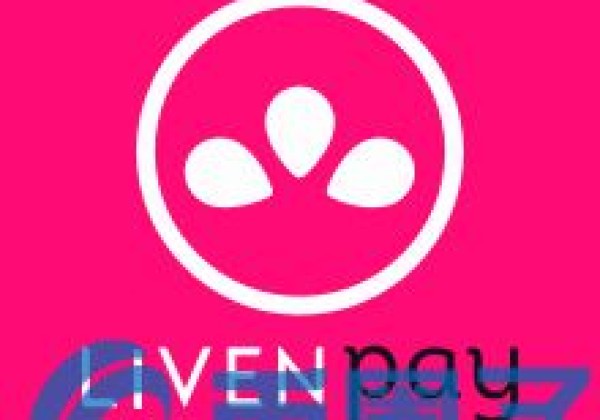 LVN币／LivenPay是什么？LVN货币相关信息介绍
