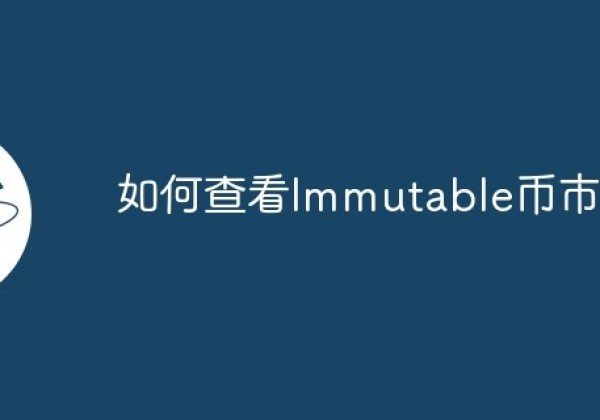 如何查看Immutable币市值？