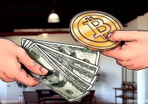 什么样的数字货币值得投资？币圈老韭菜告诉你！