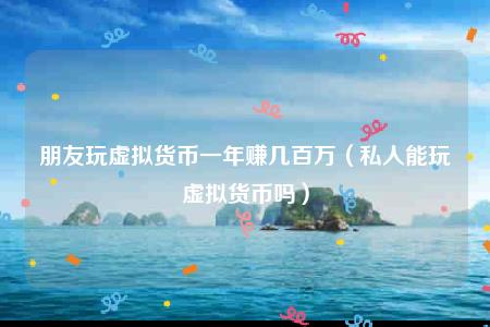 朋友玩虚拟货币一年赚几百万（私人能玩虚拟货币吗）