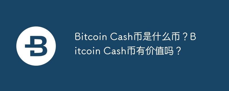 bitcoin cash币是什么币?bitcoin cash币有价值吗?