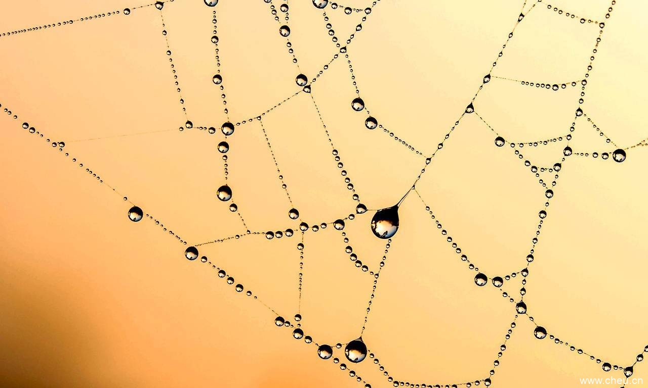 不断创新高的比特币算力和市值!比特币指标越来越强,牛市何时会来? 不断创新高的比特币算力和市值!比特币指标越来越强,牛市何时会来?