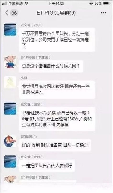 区块链宠物等于高收益？比特猪区块宠物被立案调查
