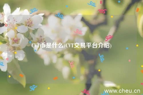 CVT币是什么(CVT交易平台介绍)
